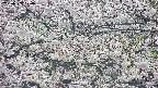 takano4-20250507070058.jpg