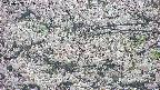 takano4-20250507071059.jpg