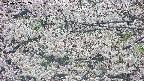 takano4-20250507072057.jpg