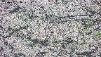 takano4-20250507073058.jpg