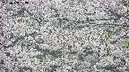 takano4-20250507074058.jpg