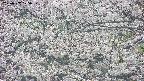takano4-20250507075058.jpg