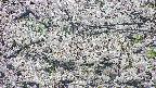 takano4-20250507080059.jpg