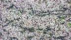 takano4-20250507082058.jpg