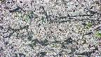 takano4-20250507083101.jpg
