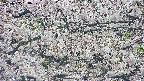 takano4-20250507084058.jpg