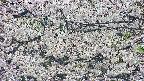 takano4-20250507085059.jpg