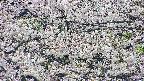 takano4-20250507090100.jpg