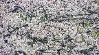 takano4-20250507091059.jpg