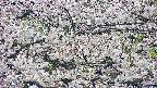 takano4-20250507092058.jpg
