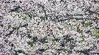 takano4-20250507093100.jpg