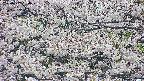 takano4-20250507094057.jpg