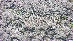 takano4-20250507095057.jpg