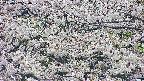takano4-20250507100059.jpg