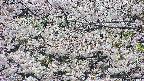 takano4-20250507102059.jpg