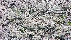 takano4-20250507103058.jpg
