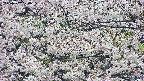 takano4-20250507104059.jpg