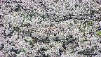 takano4-20250507105100.jpg
