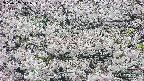 takano4-20250507111059.jpg