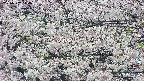 takano4-20250507114058.jpg