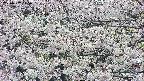 takano4-20250507115057.jpg