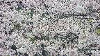 takano4-20250507120059.jpg