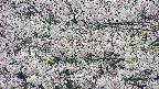 takano4-20250507121058.jpg