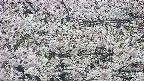 takano4-20250507122058.jpg