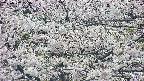takano4-20250507123059.jpg