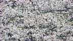 takano4-20250507124058.jpg