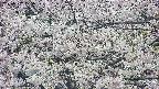 takano4-20250507125059.jpg