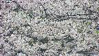 takano4-20250507131057.jpg