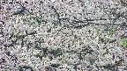 takano4-20250507132059.jpg