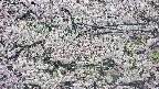 takano4-20250507133100.jpg