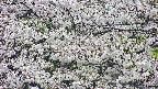 takano4-20250507135100.jpg