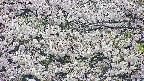 takano4-20250507140100.jpg