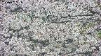 takano4-20250507141058.jpg