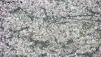 takano4-20250507142057.jpg