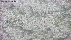 takano4-20250507143057.jpg