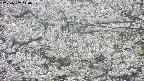 takano4-20250507144059.jpg