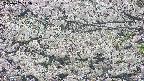 takano4-20250507145059.jpg