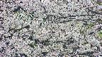 takano4-20250507150056.jpg