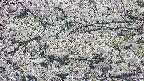 takano4-20250507151056.jpg