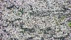 takano4-20250507152057.jpg