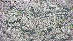 takano4-20250507153057.jpg