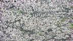 takano4-20250507154056.jpg