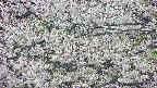 takano4-20250507155058.jpg