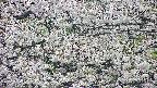 takano4-20250507160100.jpg