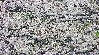 takano4-20250507161057.jpg