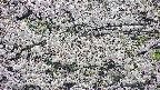 takano4-20250507162058.jpg
